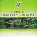 Tropical Rainforest Paradise